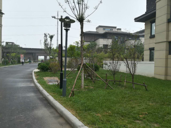 经纬城市绿洲武清_实景图_18