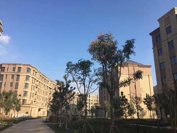 泰达御景_实景图_5
