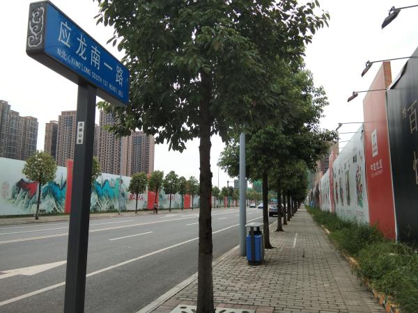 中建天府公馆_实景图_74