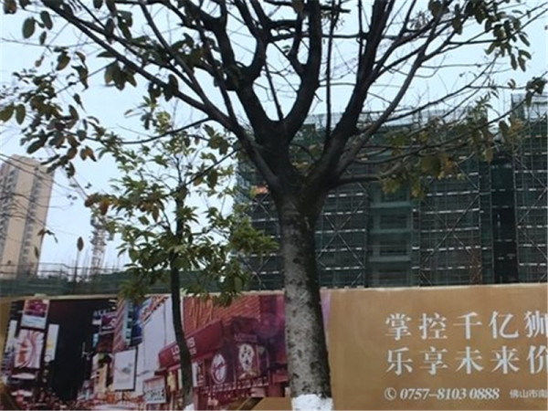 美立方花园_实景图_25