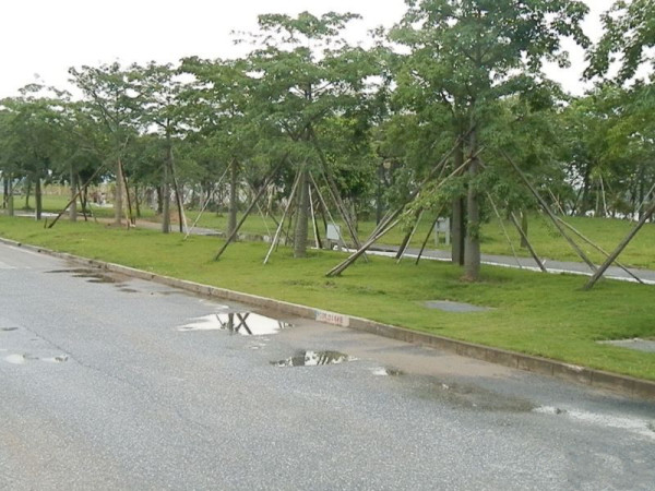 涟岸小区配套