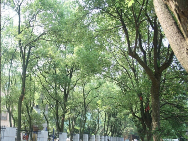 旺景园_实景图_7