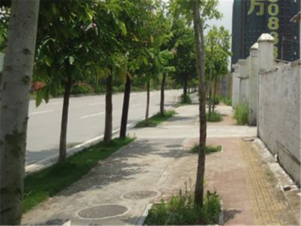 美立方花园_小区配套_4