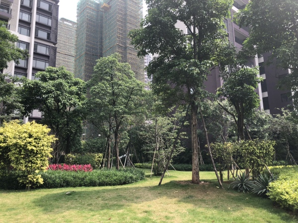 海逸桃花源记_实景图_65