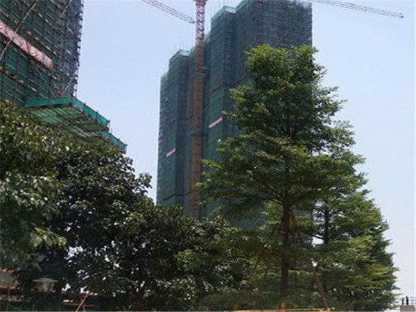 江滨花园锦绣龙湾_实景图_46
