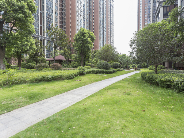 天晟海拔东方_实景图_19
