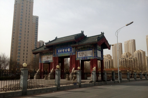 金御瞰景实景图