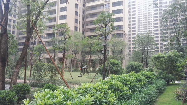 江滨花园锦绣龙湾_实景图_59