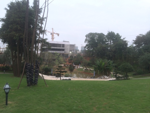 荣盛花语城_实景图_9