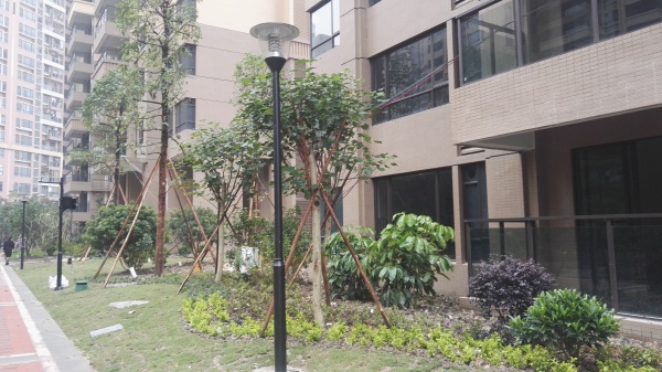 江滨花园锦绣龙湾_实景图_25