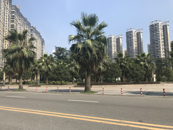 洲际亚洲湾实景图