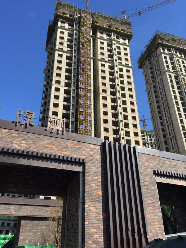 经纬城市绿洲武清_实景图_20