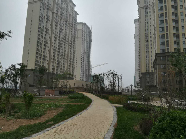 经纬城市绿洲武清_实景图_11