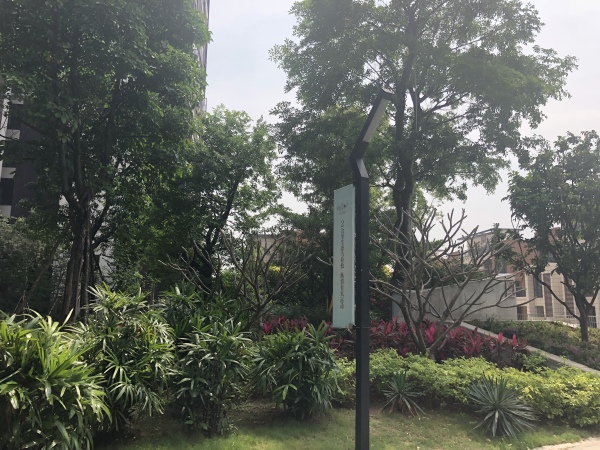 海逸桃花源记_实景图_66