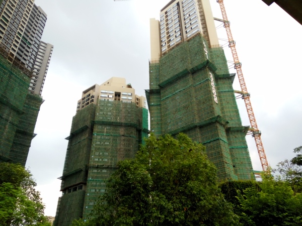 新福港鼎峰实景图