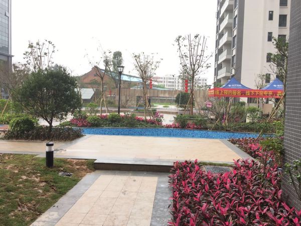 卓远广场_实景图_12