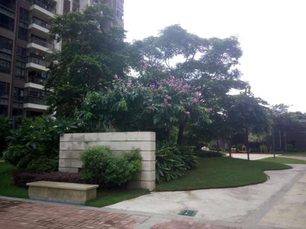 碧桂园联丰天汇湾_实景图_7