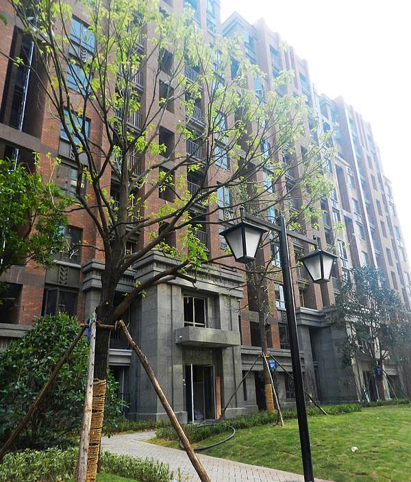 绿地公馆_实景图_37