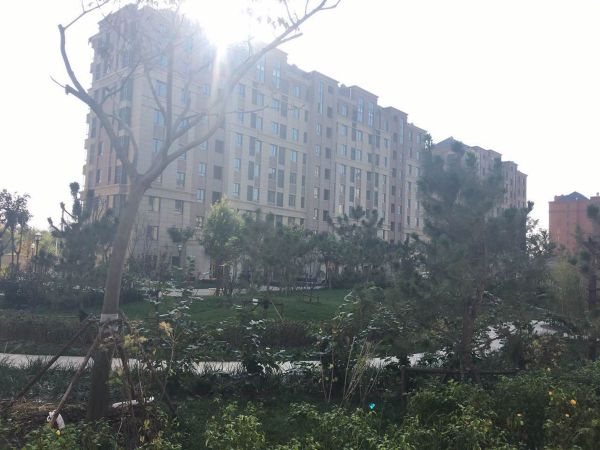 泰达御景_实景图_7
