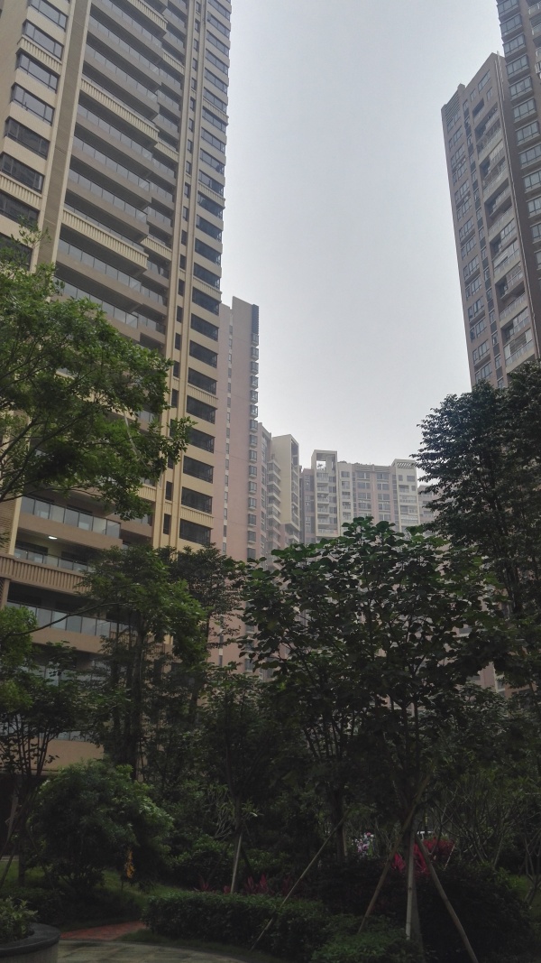 江滨花园锦绣龙湾_实景图_10