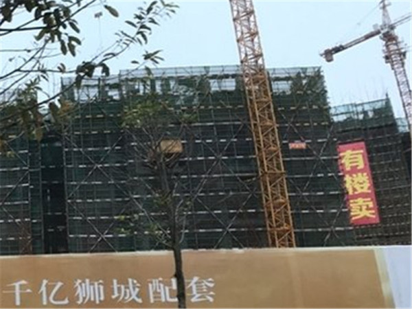 美立方花园_实景图_13