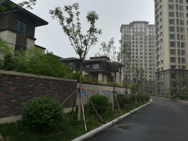 经纬城市绿洲武清_实景图_4