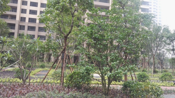 江滨花园锦绣龙湾_实景图_31