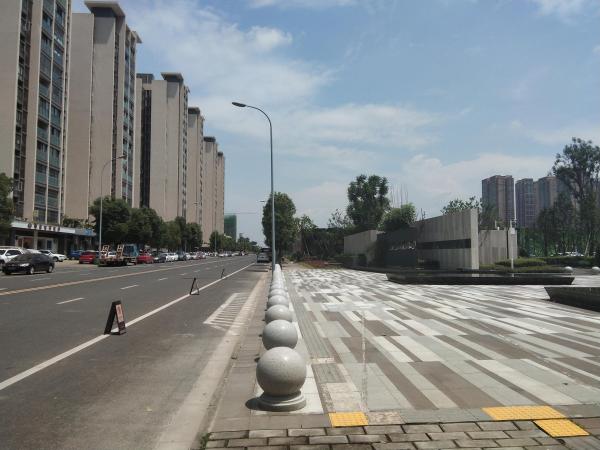 中建天府公馆_实景图_43