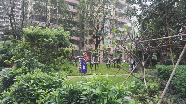 江滨花园锦绣龙湾实景图