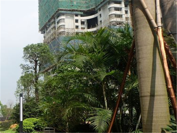 雅居乐新城湾畔_实景图_26