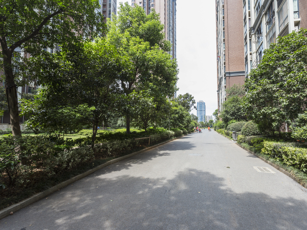 天晟海拔东方_实景图_2