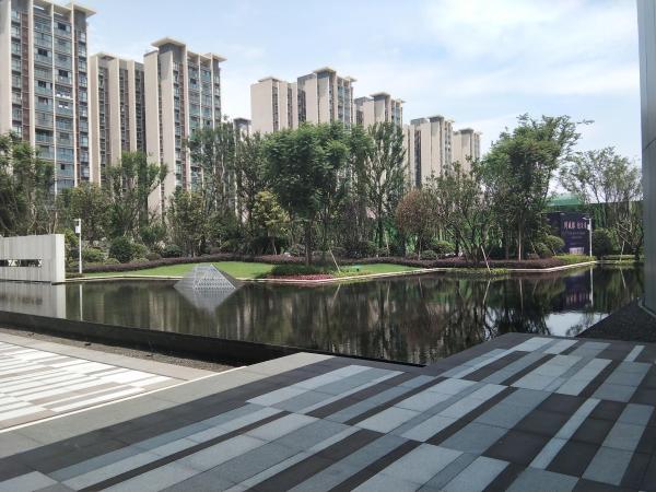 中建天府公馆_项目现场_7