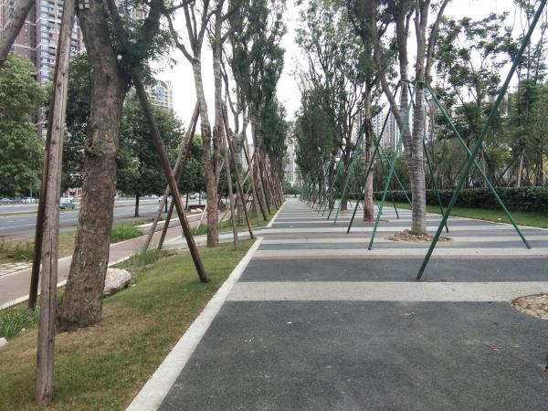 中建天府公馆_实景图_12
