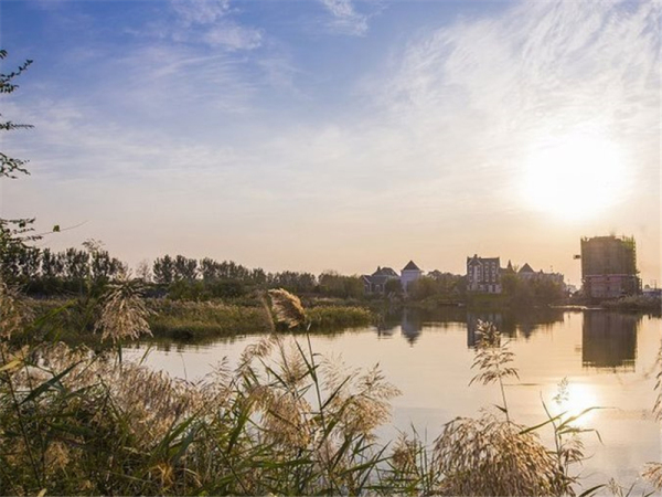 碧桂园莫奈的湖实景图