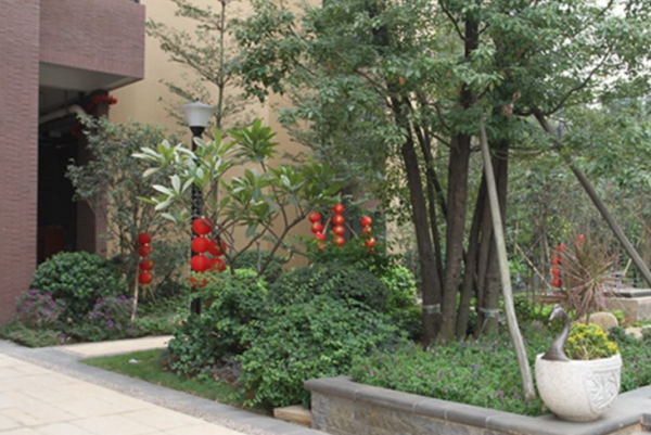 美立方花园_实景图_49