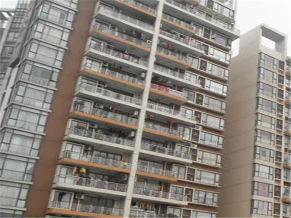 新幸福领汇家园_实景图_19