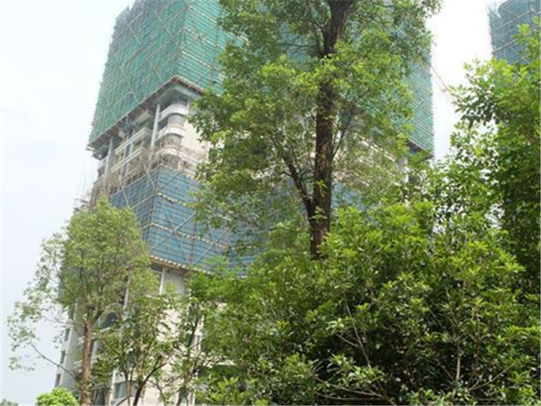 雅居乐新城湾畔_实景图_25