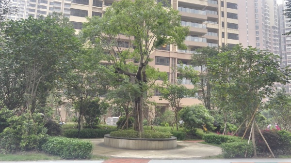 江滨花园锦绣龙湾_实景图_62