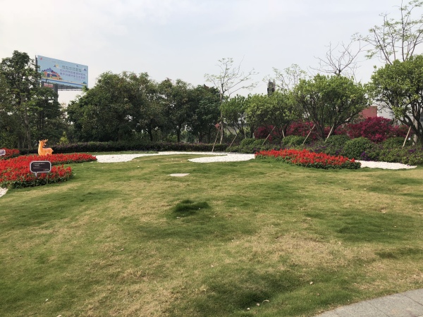 海逸桃花源记实景图