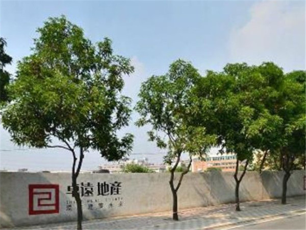 卓远广场_实景图_7