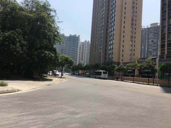 佳兆业丽晶公馆实景图