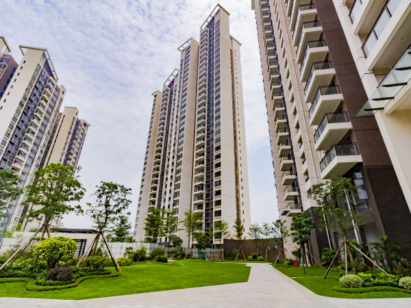 碧桂园联丰天汇湾_实景图_10