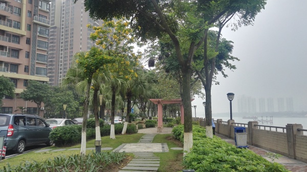 江滨花园锦绣龙湾_实景图_2