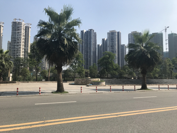 洲际亚洲湾实景图