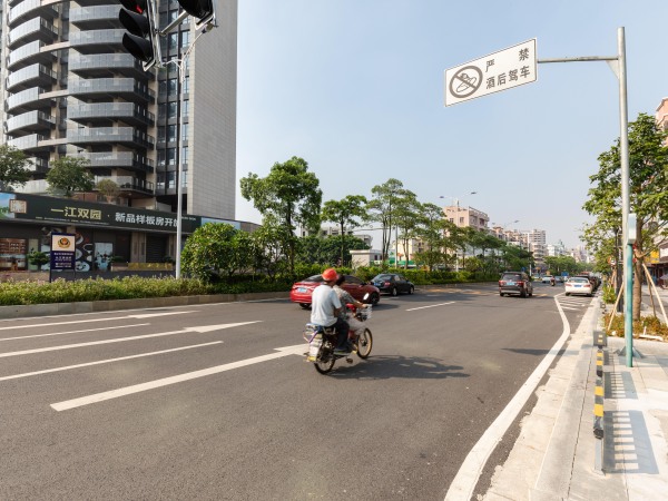 富力西江十号实景图