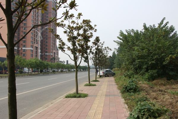 协信天骄城_实景图_61