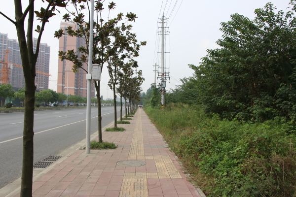 协信天骄城_实景图_58