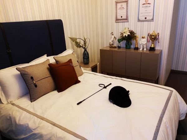 中建锦绣首府_样板间_5