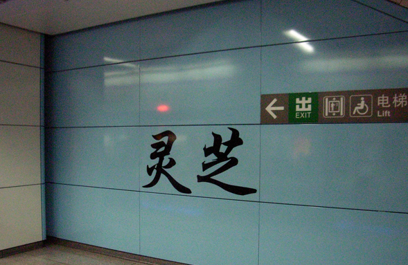 繁花国际_实景图_47