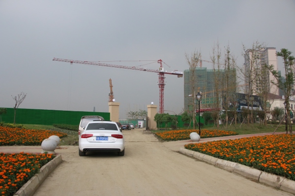 建工梧桐屿_实景图_57